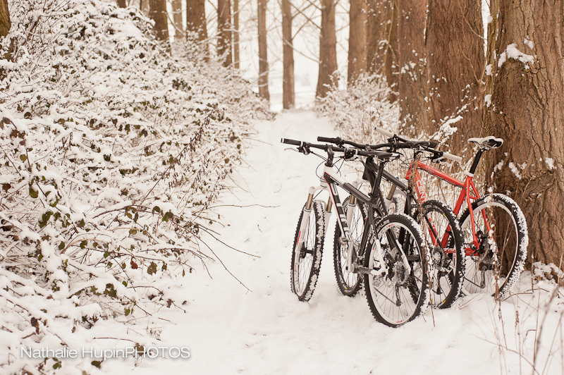 mountainbike-1851