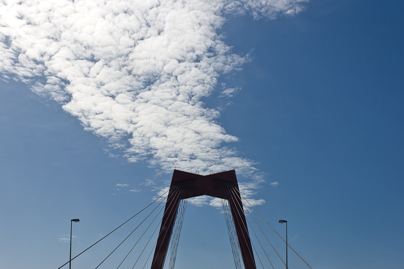 willemsbrug rotterdam