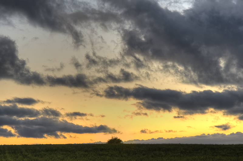 paysage coucher de soleil