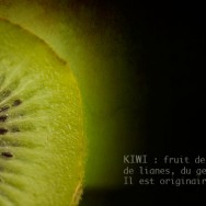 fiche kiwi