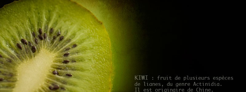 fiche kiwi