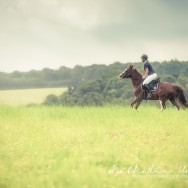 Galop dans les champs