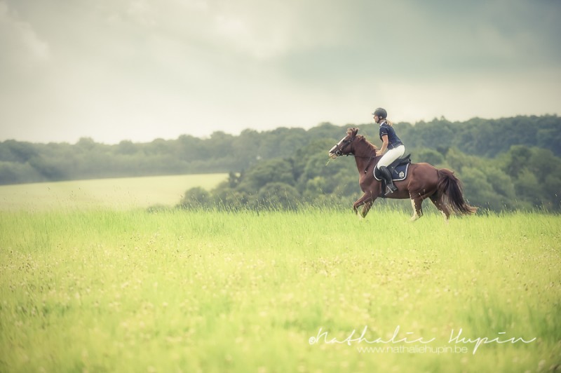 Galop dans les champs